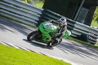 brands-hatch-photographs;brands-no-limits-trackday;cadwell-trackday-photographs;enduro-digital-images;event-digital-images;eventdigitalimages;no-limits-trackdays;peter-wileman-photography;racing-digital-images;trackday-digital-images;trackday-photos